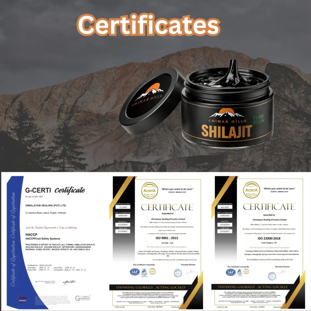 Shilajit resin store USA