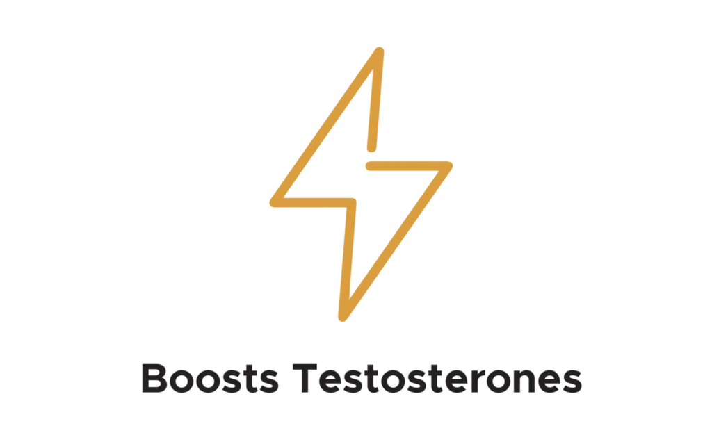 Shilajit resin store USA