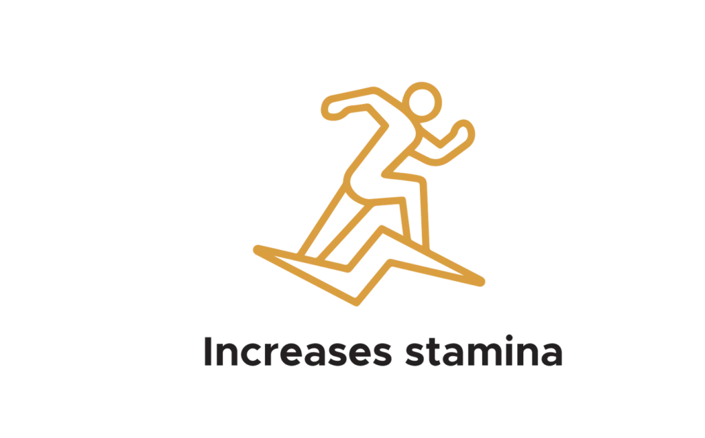 Shilajit resin store USA