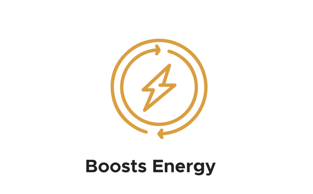 Shilajit resin store USA