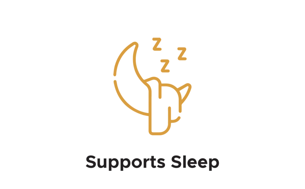 Shilajit resin store USA