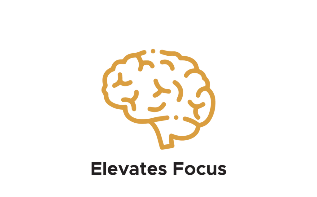 Shilajit resin store USA