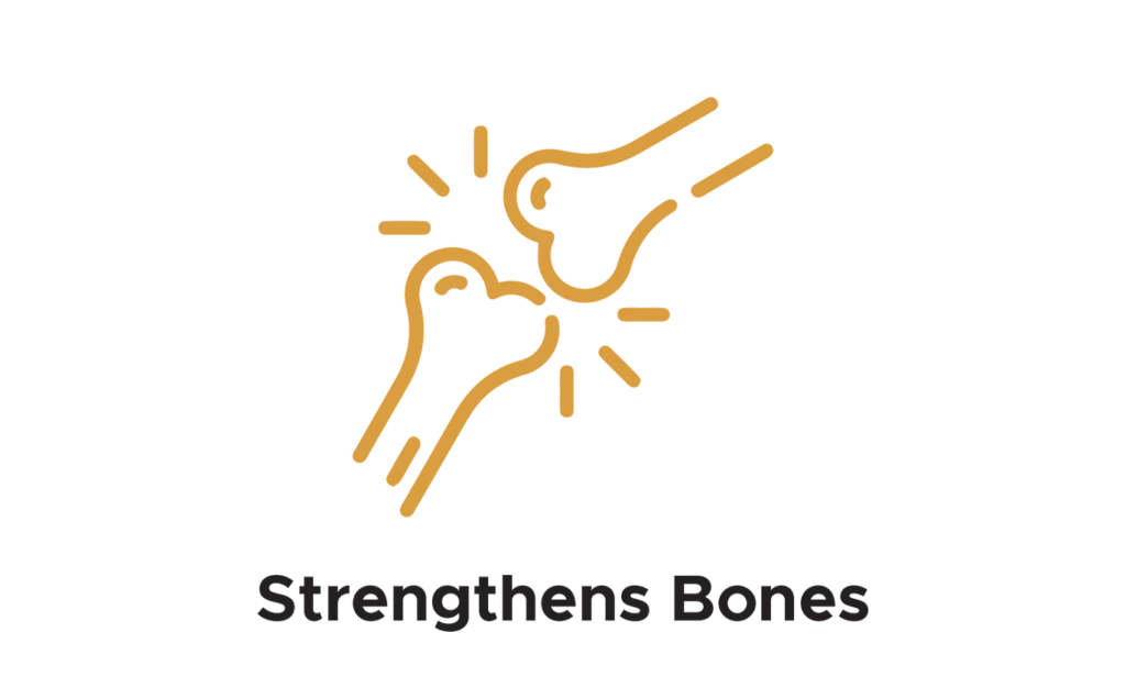 Shilajit resin store USA