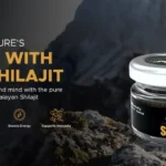 Best Shilajit Brands 2026 — Lab Tested, Third-Party Verified & Safe for USA Buyers