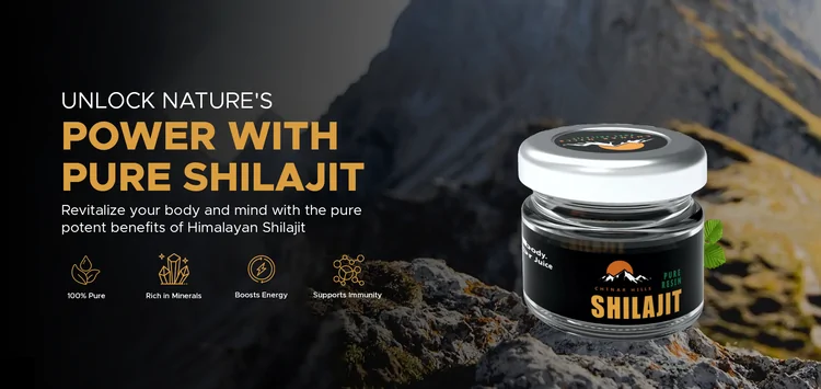 best shilajit brands 2026